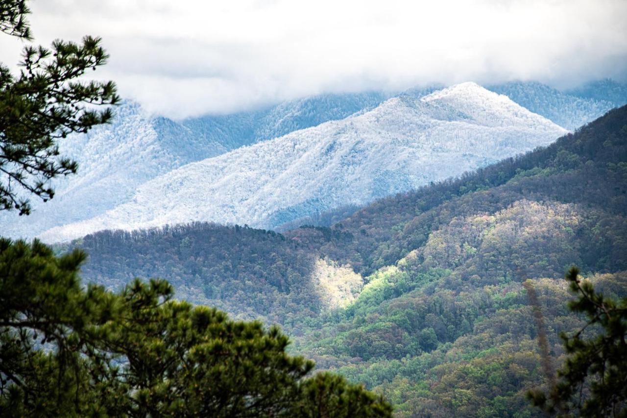 Majestic Leconte Villa แกตลิงเบิร์ก ภายนอก รูปภาพ
